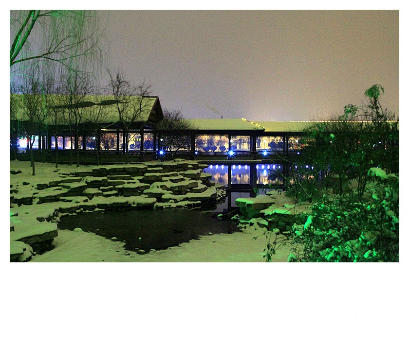 《雪夜阑珊》 - 菏泽拍客 - 齐鲁社区 - 山东最大