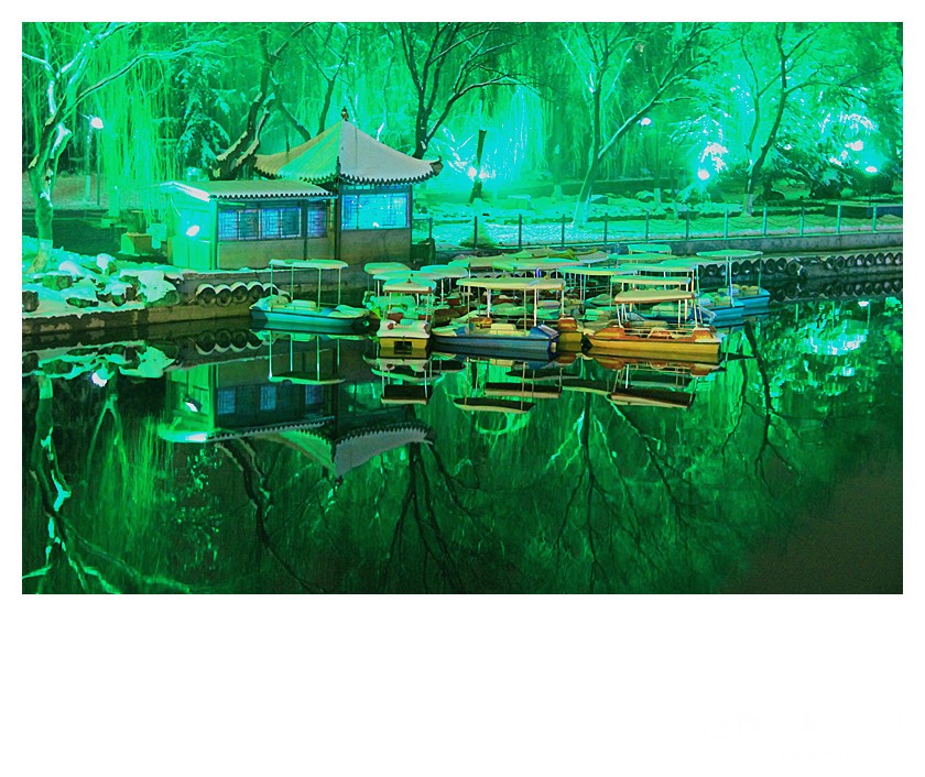 《雪夜阑珊》 - 菏泽拍客 - 齐鲁社区 - 山东最大