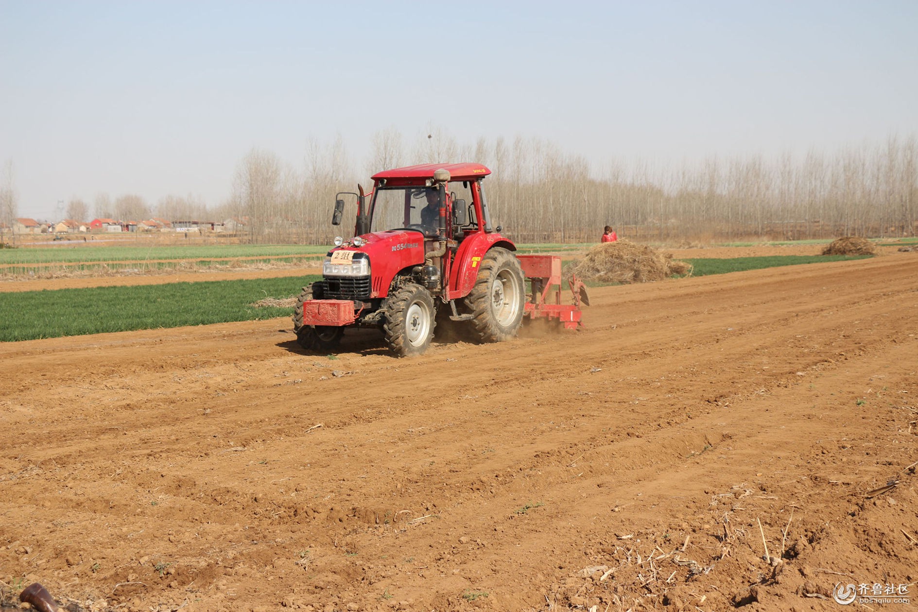 勤劳的人民忙耕种 - 沂水论坛 - 齐鲁社区 - 山东