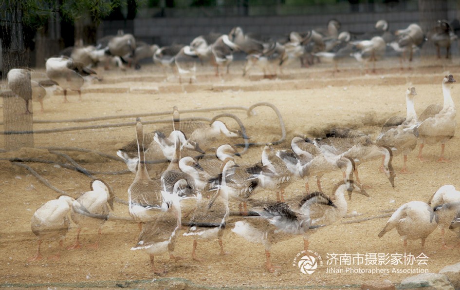 泰安宝泰隆采风纪实