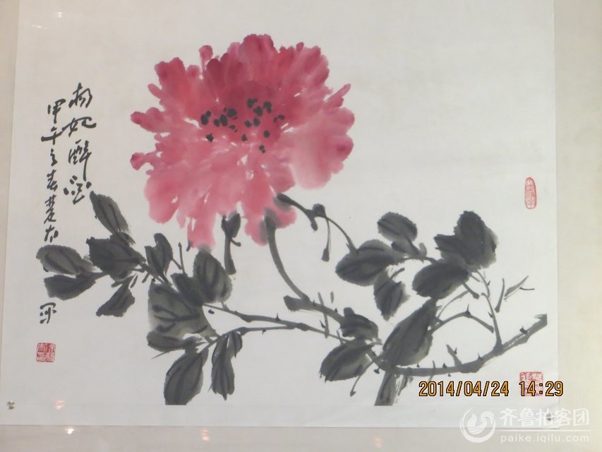 观菏泽牡丹节画家徐双太画展