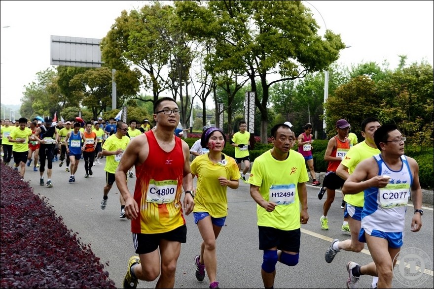 170403w6rueuwepwf035ej.jpg