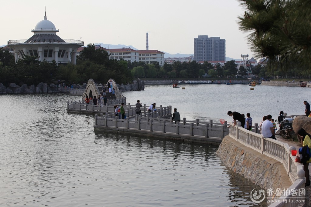 哪个城市海鲜好(2)