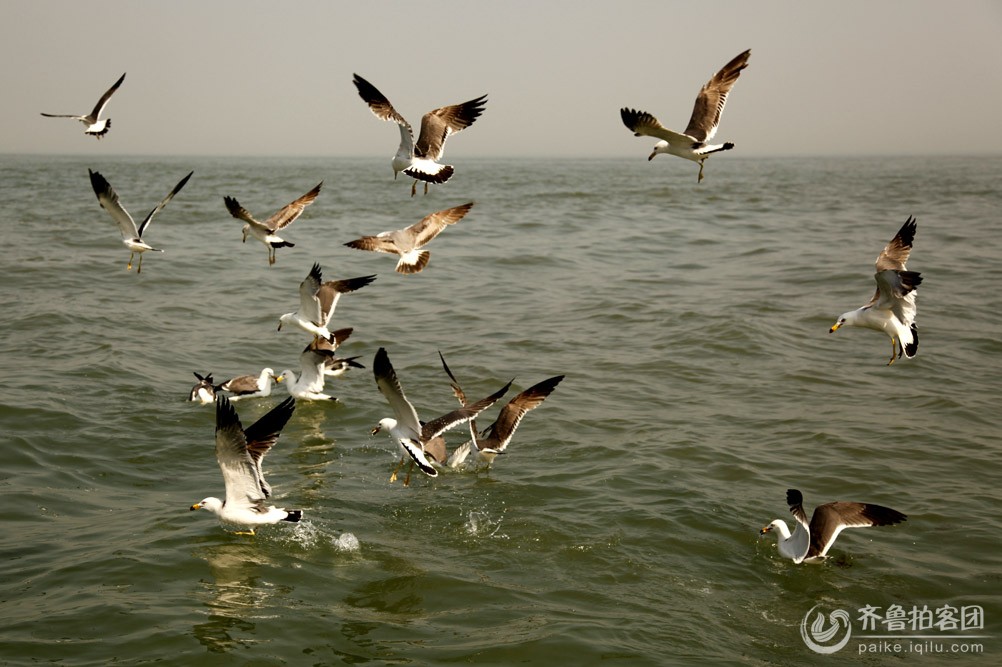 《家有考生》第4期:高考中应该注意哪些事项?