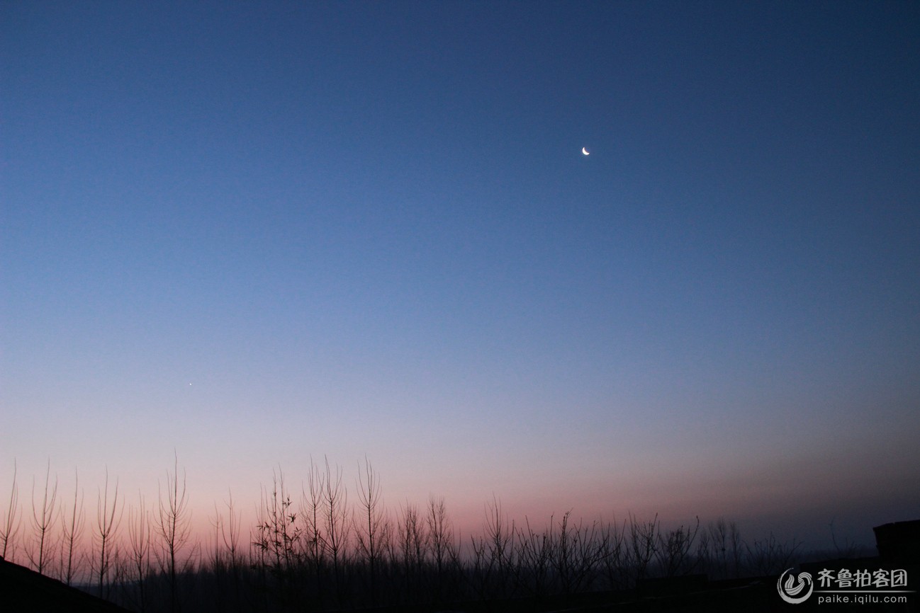 夜月 - 泰安拍客 - 齐鲁社区 - 山东最大的城市生