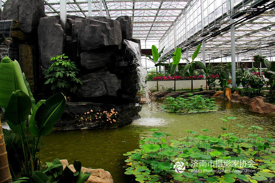 全国生态示范点兰陵.代村-----生态园雨林王国