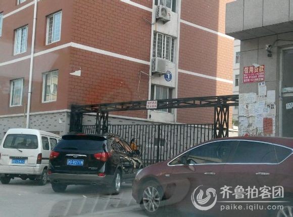 昌乐某小区的消防通道,忽悠人的吧!这高度消防