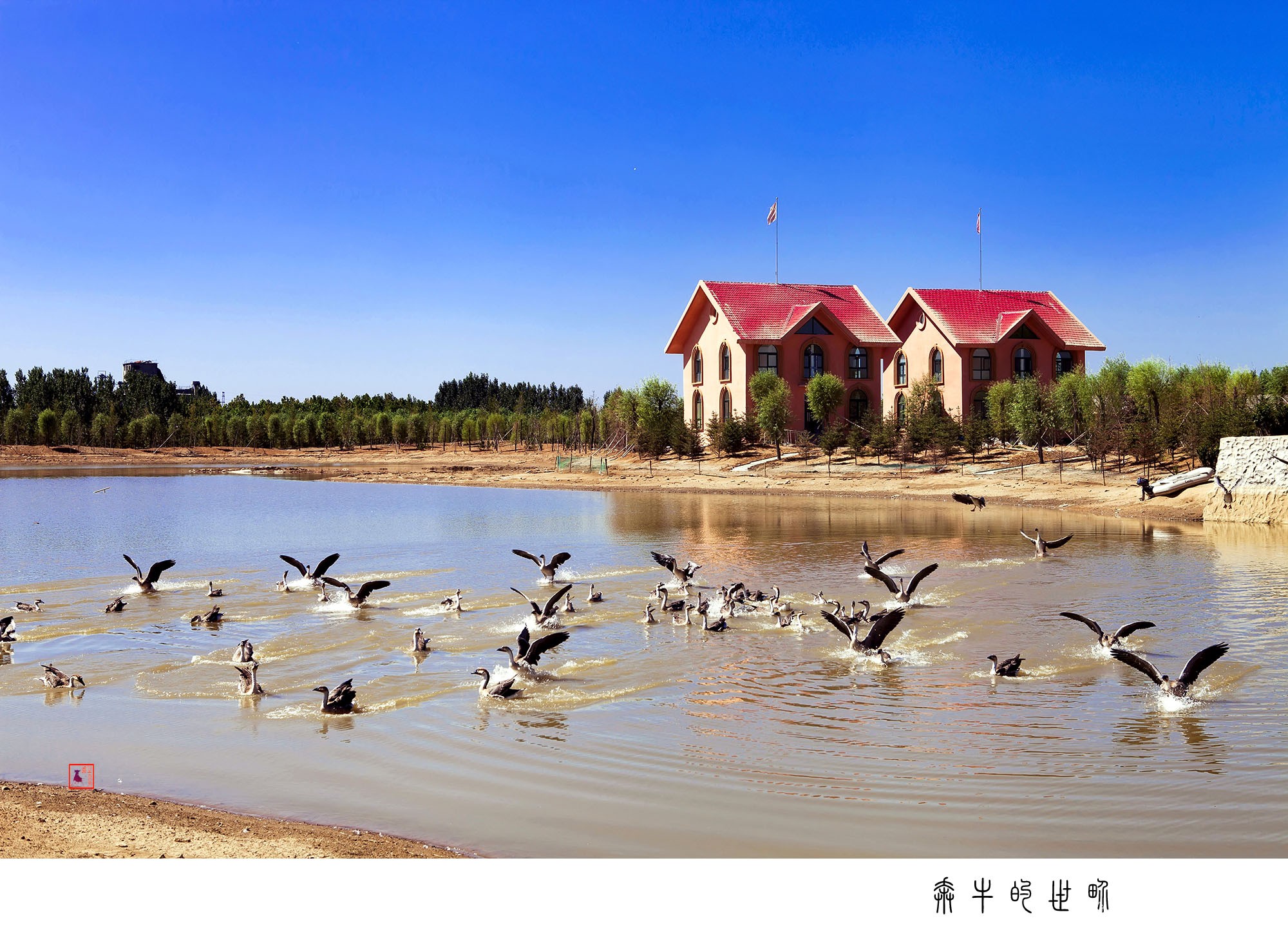 泰安宝泰隆度假村随拍