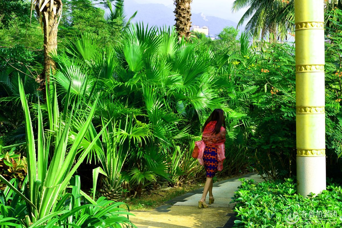 海南省陵水黎族自治县红磡.香水湾金缔度假村