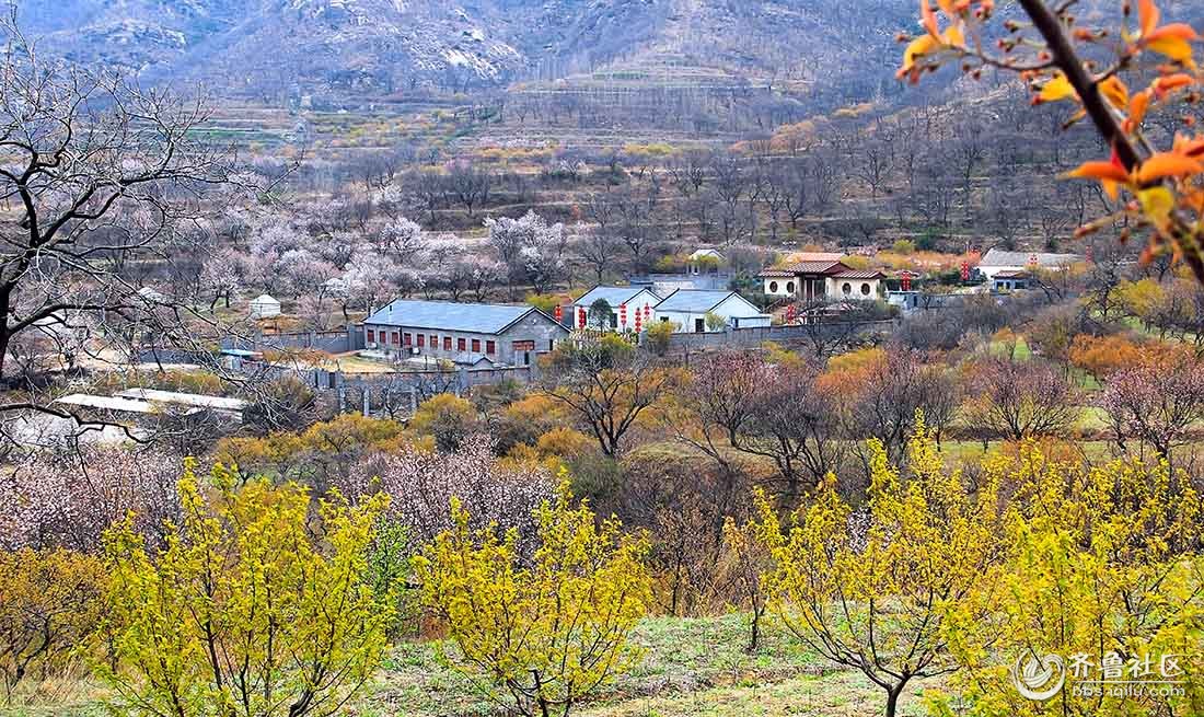 胶南风光 - 淄博论坛 - 齐鲁社区 - 山东最大的城