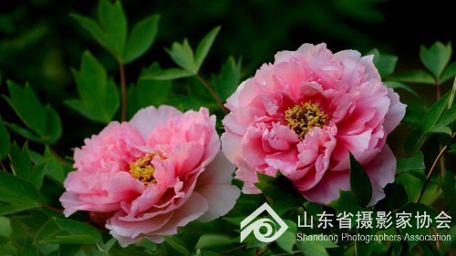 210855m9n9y7md95wn7dpy.jpg