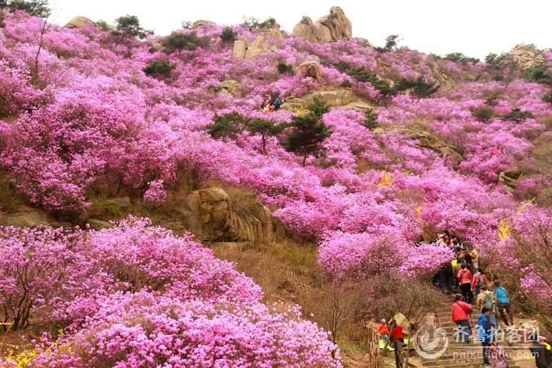 大珠山.迎山红 - 枣庄拍客 - 齐鲁社区 - 山东最大