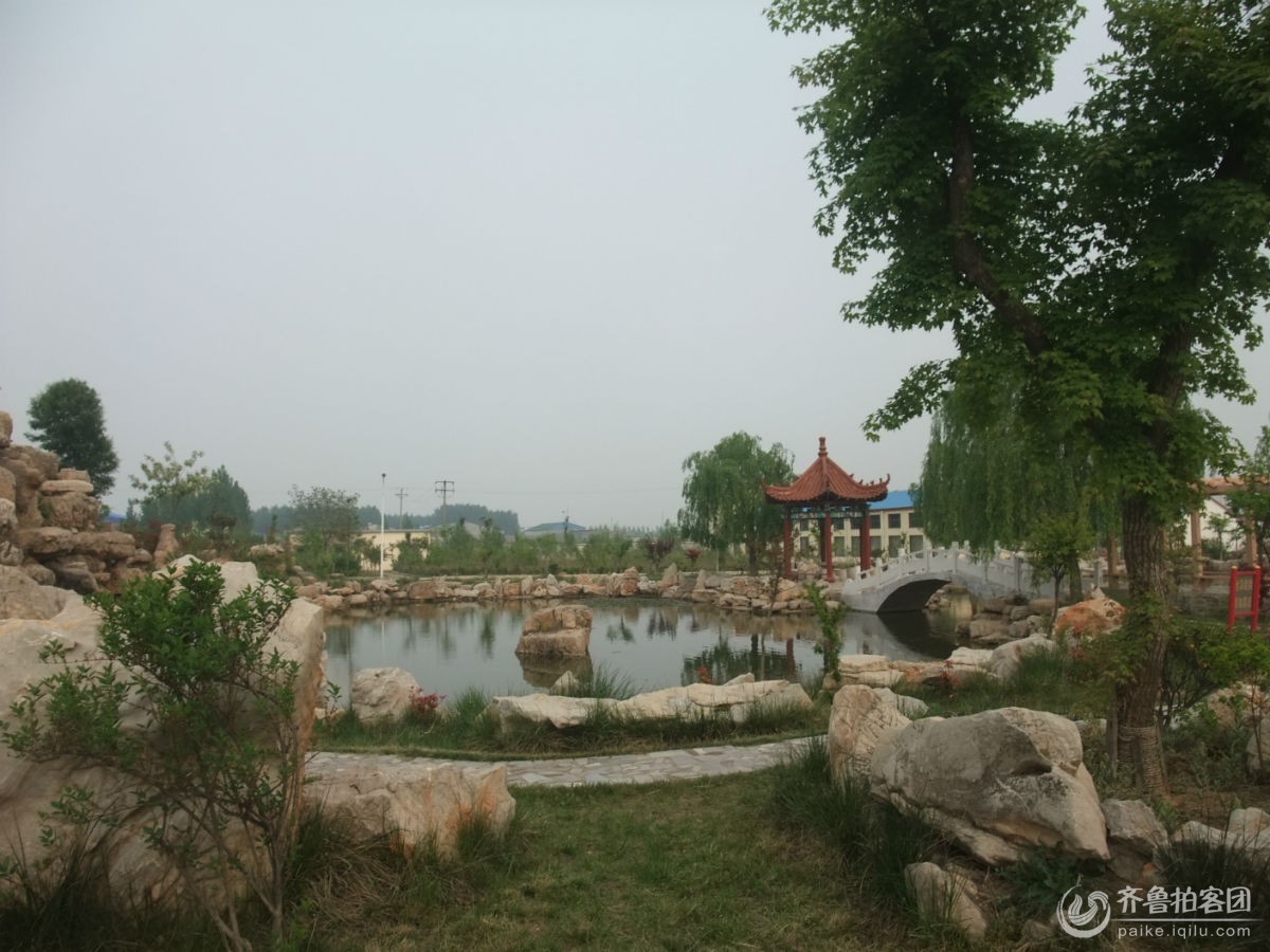 山东临沂远大教育集团--初高中毕业生最佳选择