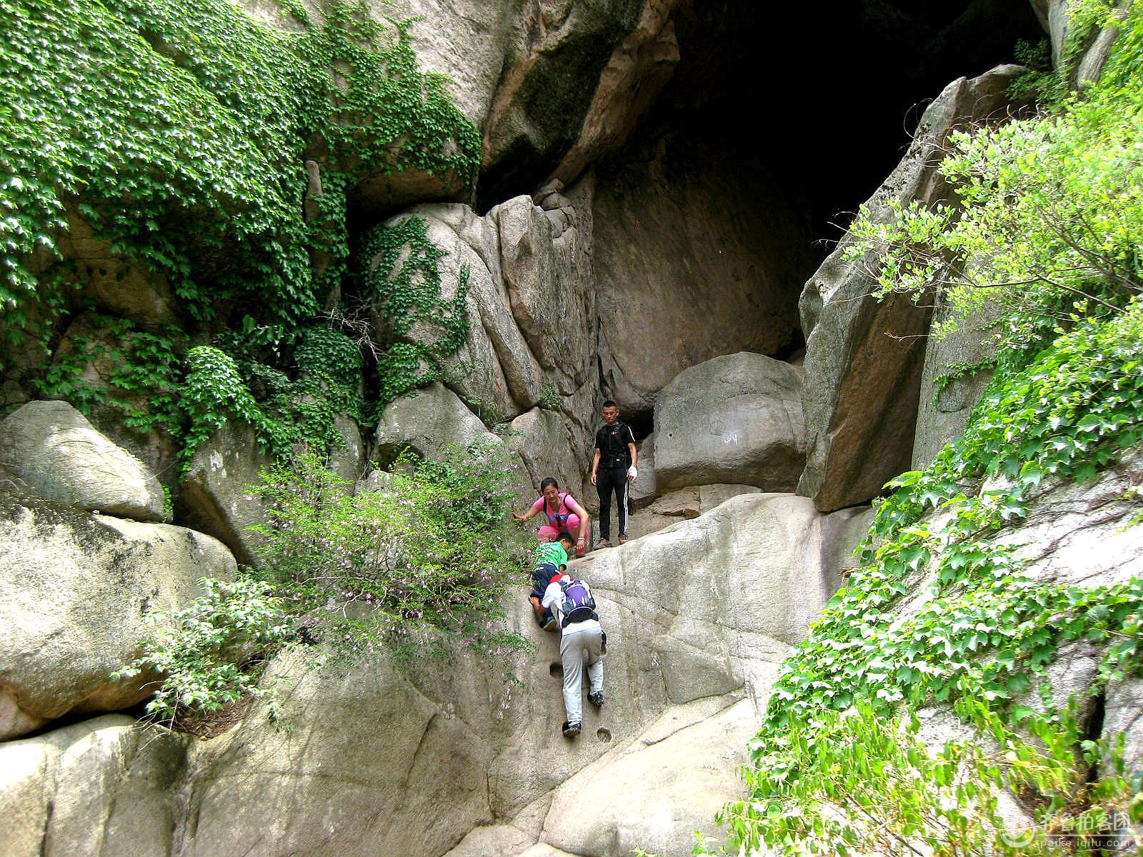 春游崂山华严寺--景区随拍(30幅) 摄影 瞩远 - 青