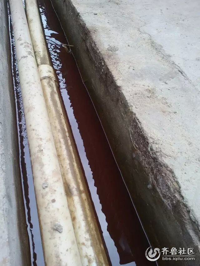 <em>聊城莘县</em>古云镇饮用水严重污染 - <em>齐鲁</em>民声 - 齐