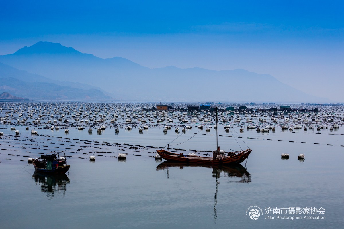 霞浦东安鱼排(8)