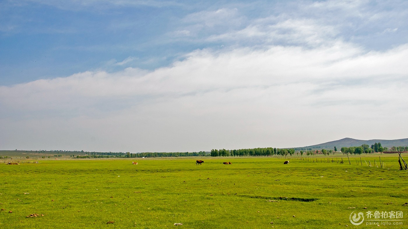 苏泊罕大草原 - 山东煤矿安培拍客 - 齐鲁社区 -