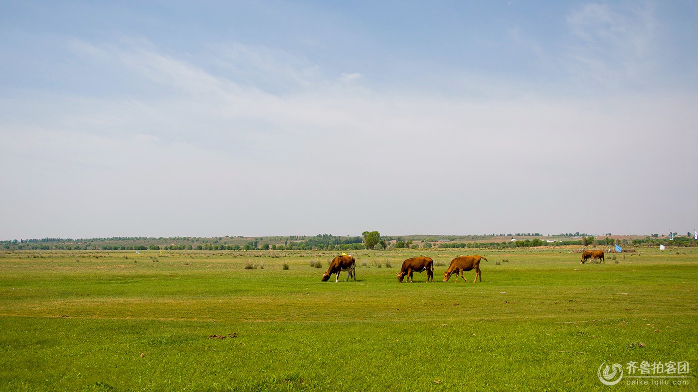 苏泊罕大草原 - 山东煤矿安培拍客 - 齐鲁社区 -