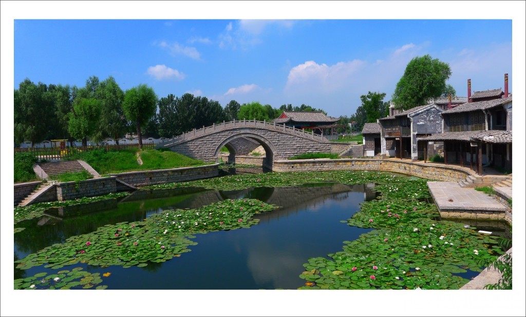 东阿阿胶城.夏日荷花香--2015.7月王乐洲摄