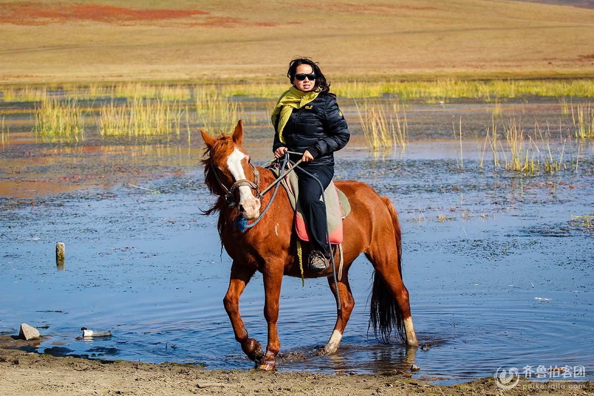马上美女 - 山东煤矿安培拍客 - 齐鲁社区 - 山东