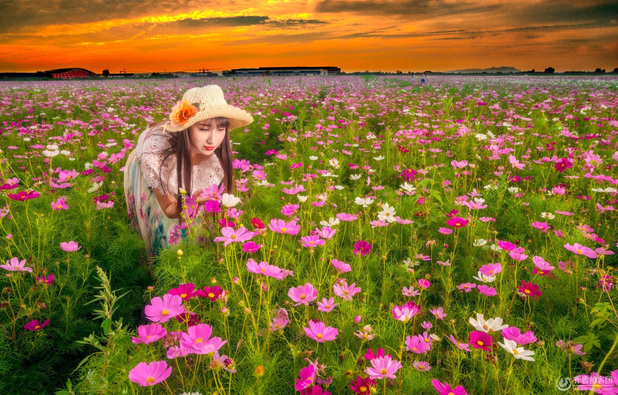 多少分能用花呗_成都月收入多少够花