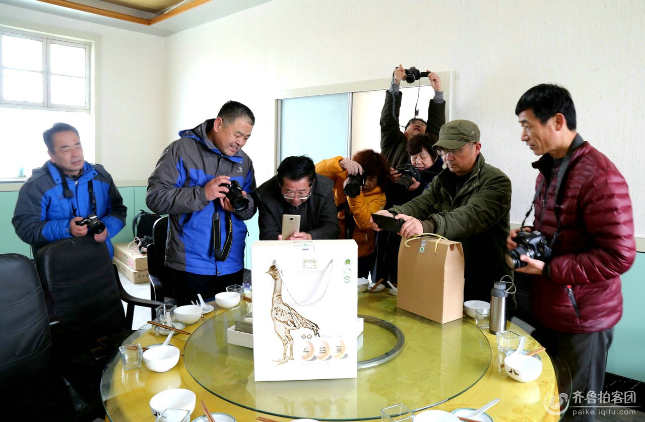 《马术斗鸡》,《打斗王》,2010年拍摄的电视连续剧《孔子》中斗鸡斗鸡儿童宫廷俱乐部规划图片