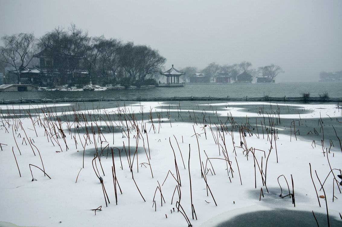 2016年大明湖雪景(4)