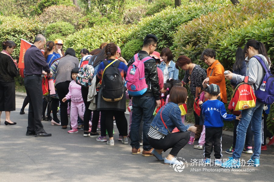 去医院拿药路过泉城公园拍几张牡丹,拍下这张幼儿园春游的画面,十来个幼儿,被二十多个家长排成人墙夹道i保护着,真是可怜天下家长心啊,“亲亲我的宝贝,我与你行影不离”