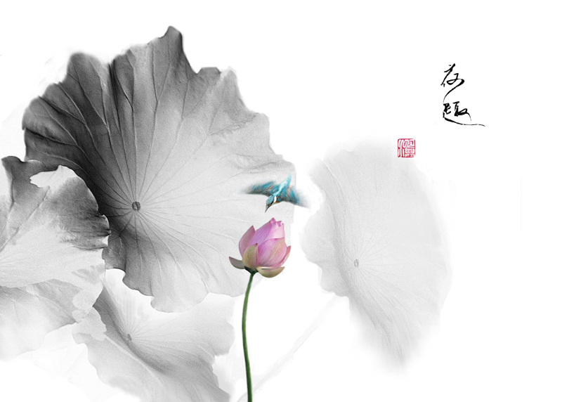荷趣