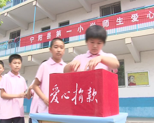 援助重病儿童 爱心洒满校园 - 泰安拍客 - 齐鲁社