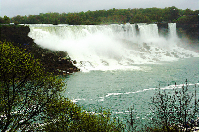 _DSC4111.jpg