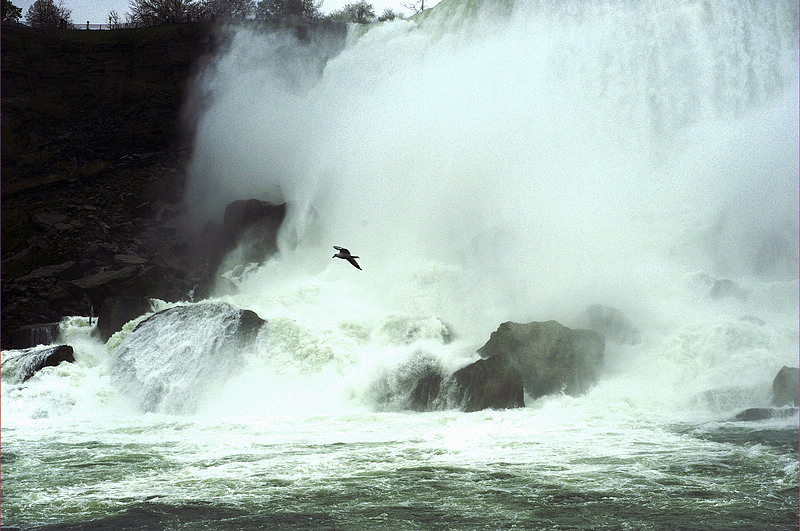 _DSC4152.jpg
