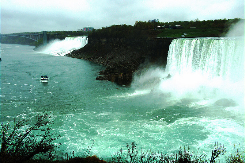_DSC4216.jpg