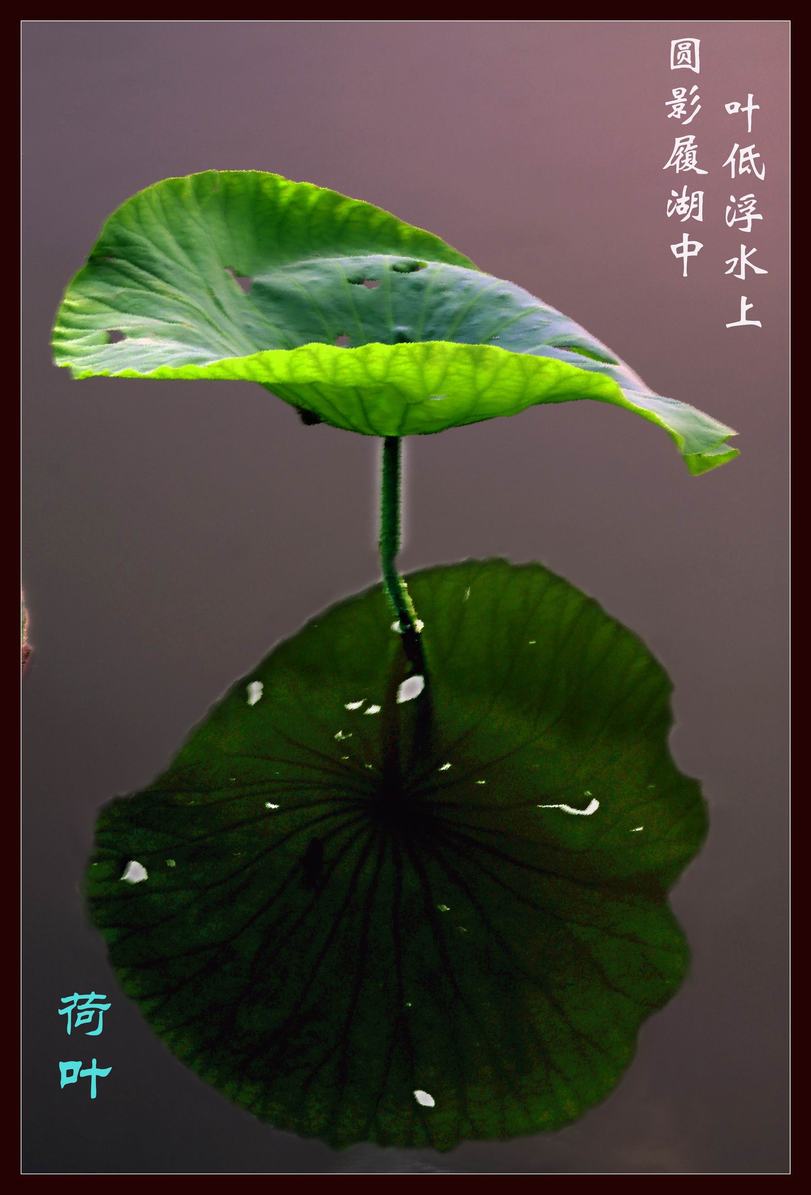 调整大小 IMG_0755.jpg