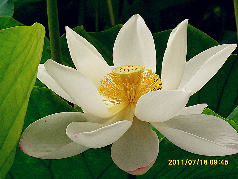 SDC19471_副本_副本.jpg