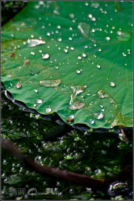 DSC_0579-1.jpg