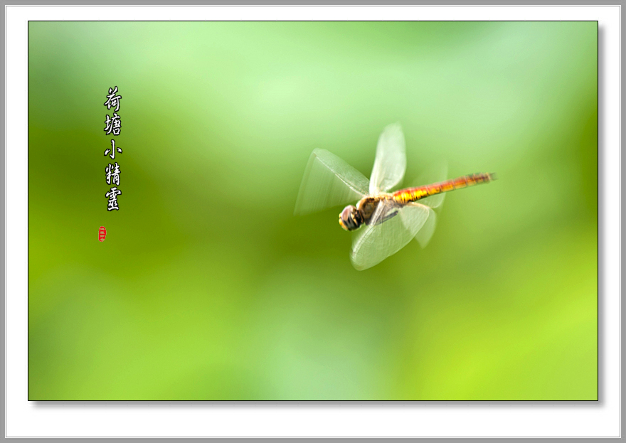DSC00906副本a.jpg