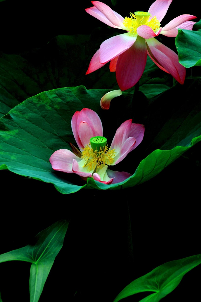 调整大小 IMG_5156.jpg