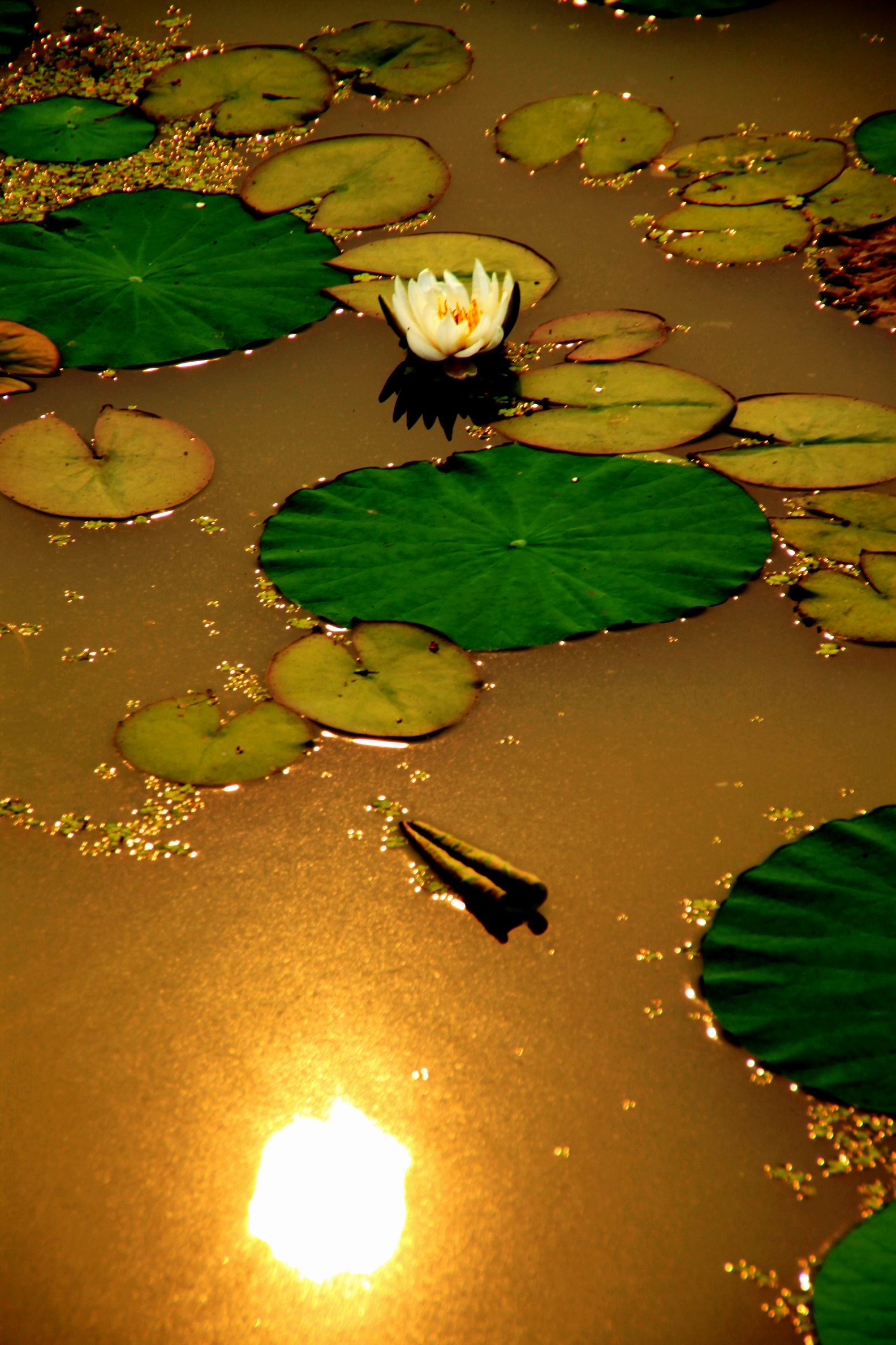 调整大小 IMG_5118.jpg