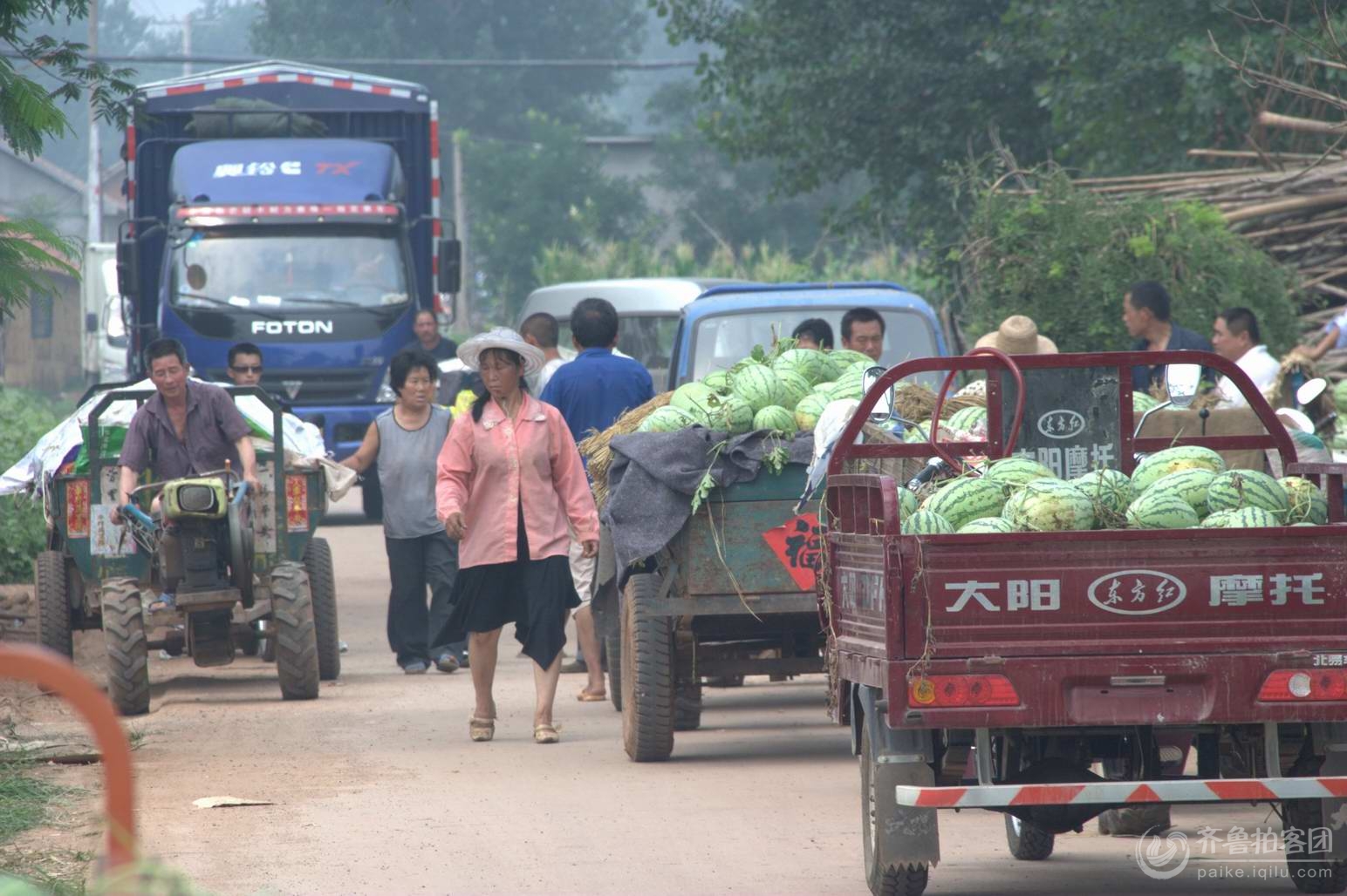山东人的一天---瓜农是怎么将西瓜运到市民手里