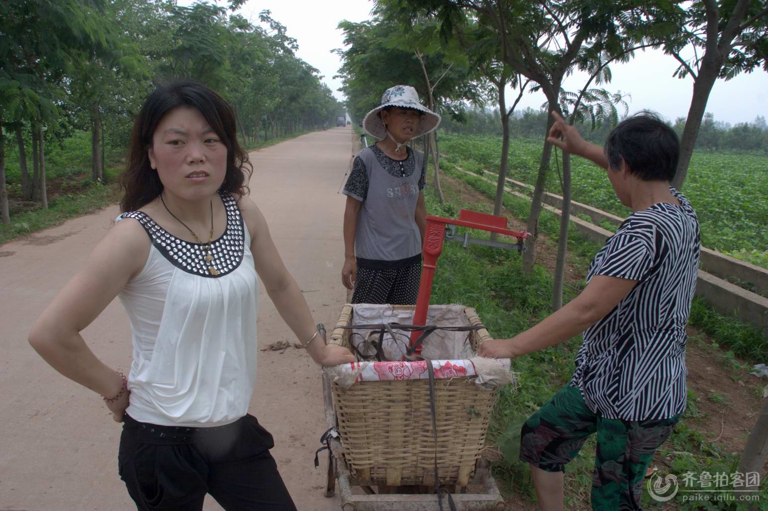 山东人的一天---瓜农是怎么将西瓜运到市民手里