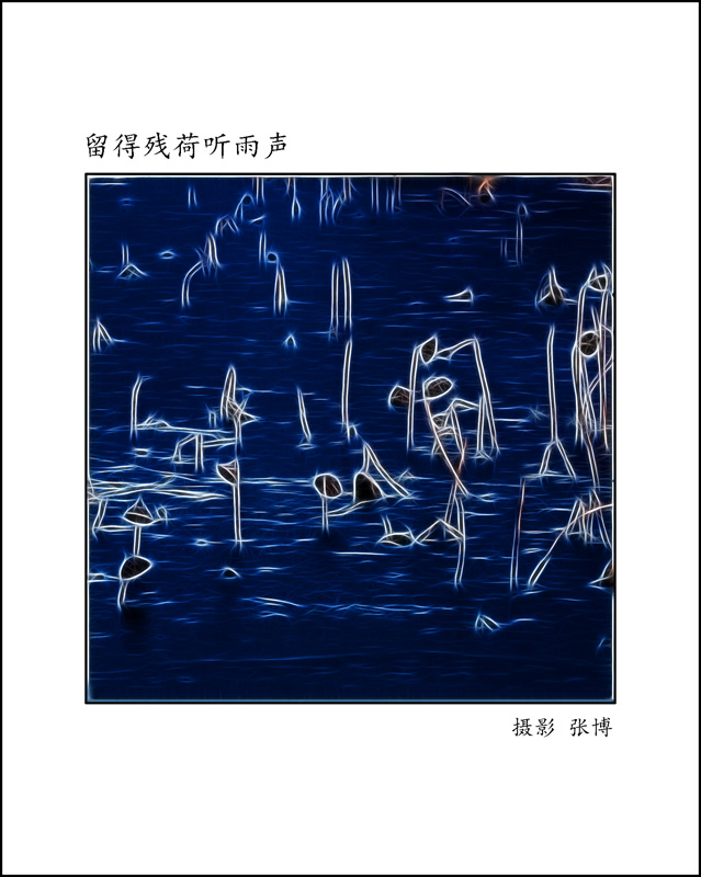 留得残荷听雨声-2.jpg