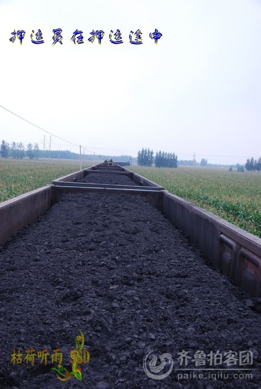 火车押运员 - 济宁拍客 - 齐鲁社区 - 山东第一互