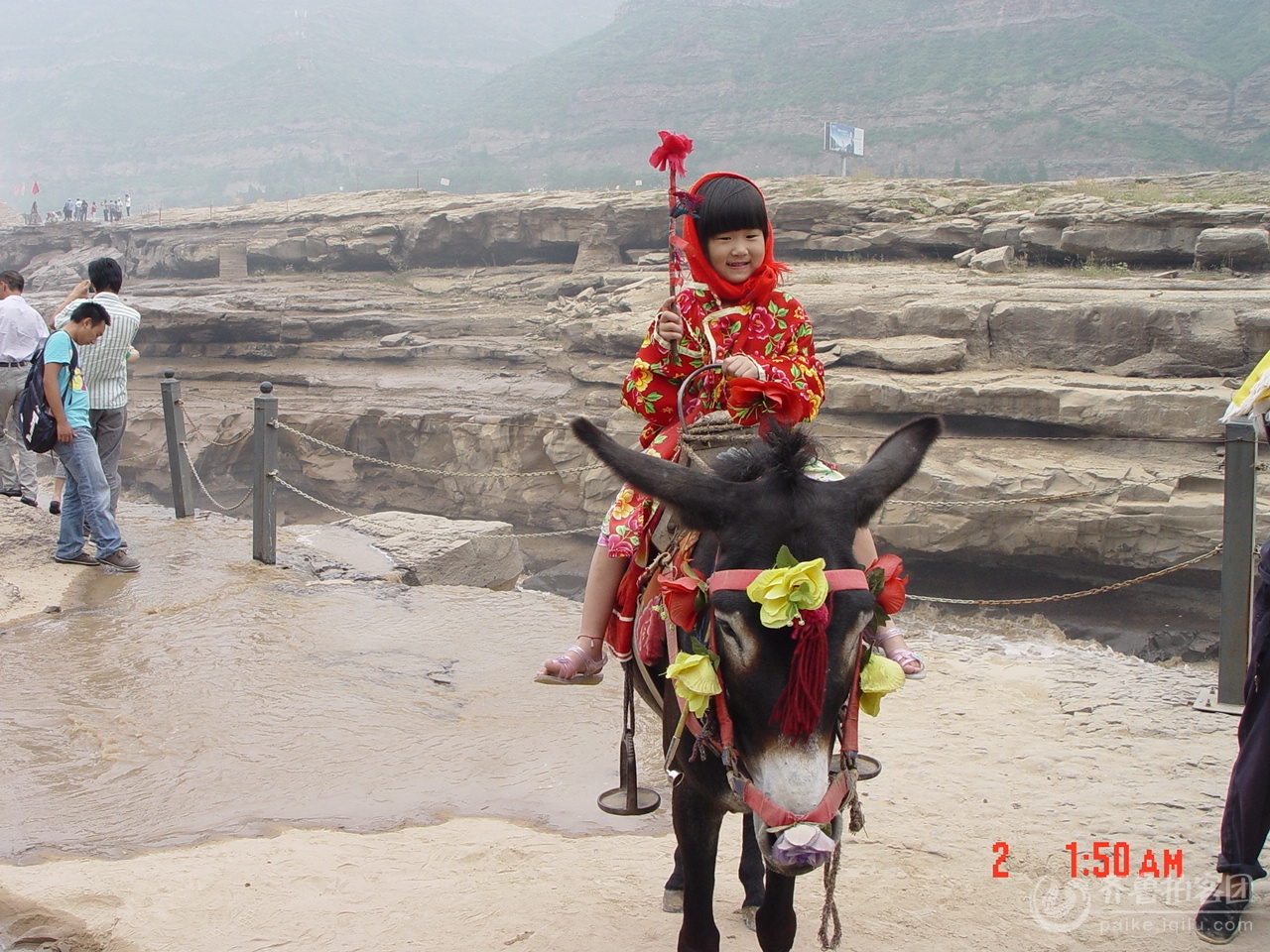 驴和美女图片 美女牵马驴配种视频,美女驴叫