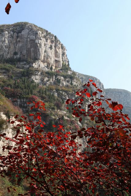 秋染潭溪山b.jpg
