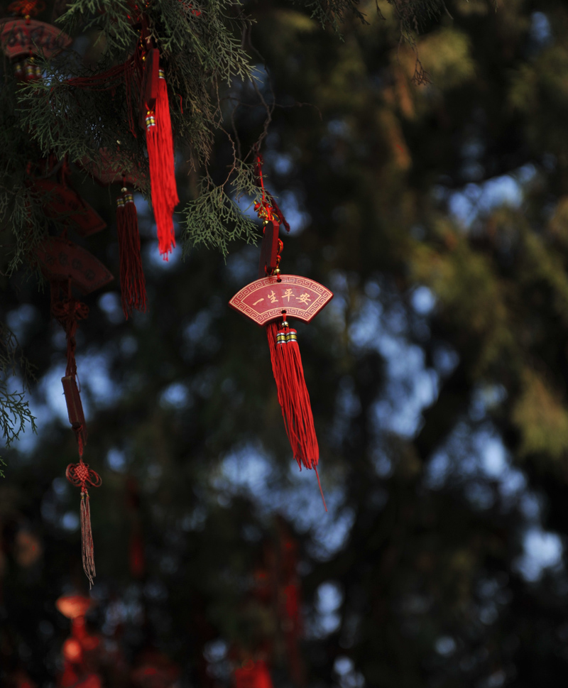 DSC_7474.jpg