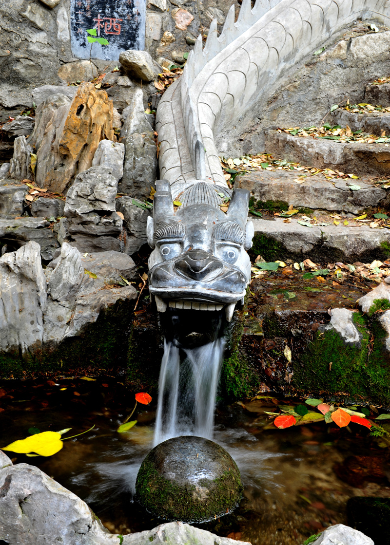 DSC_7553.jpg