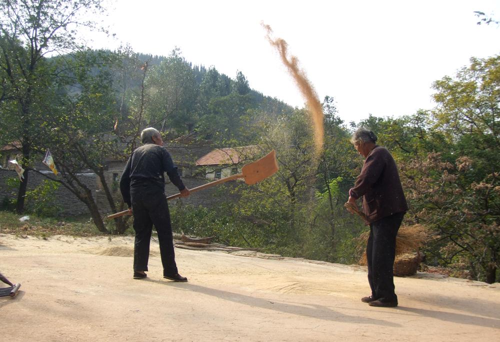 打谷场&nbsp;&nbsp;龙 11.JPG