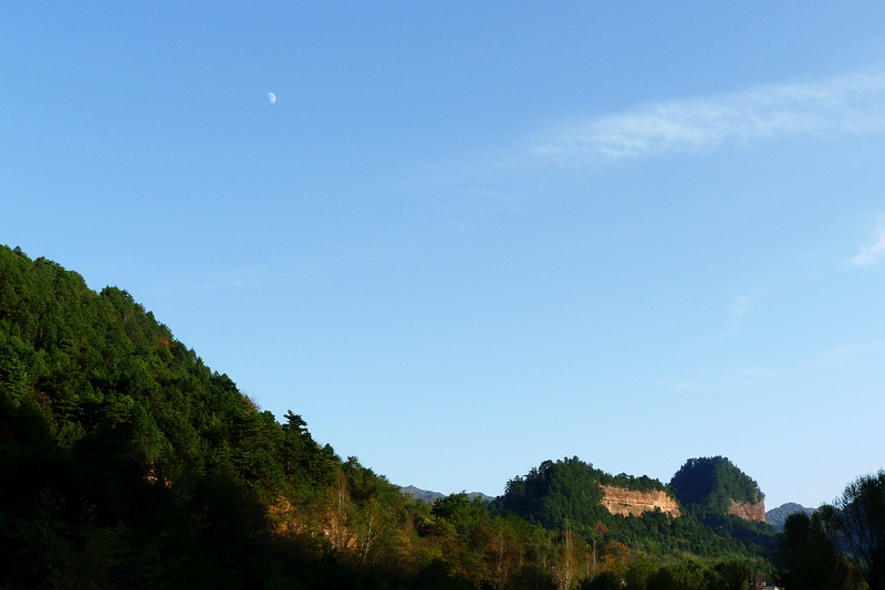 P1100034_1.jpg