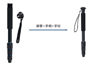 未命名5.jpg
